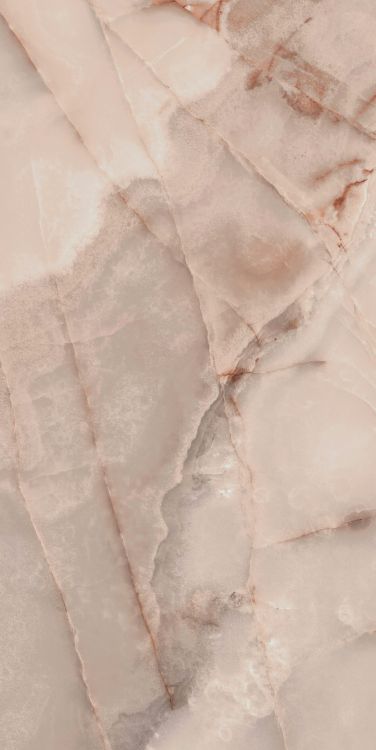 Reves Rose Matte 24 x 48